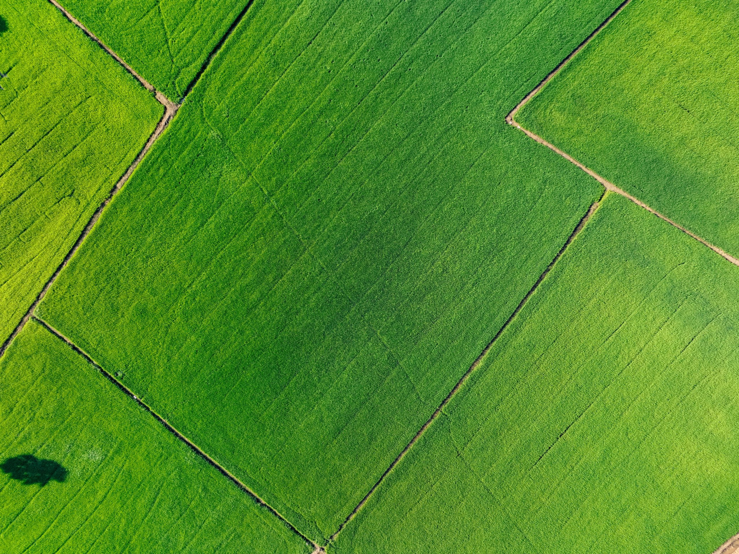 shutterstock_2619179731-min