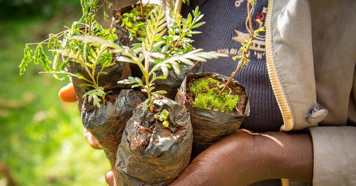 Vogliamo un mondo più connesso… e più verde! 