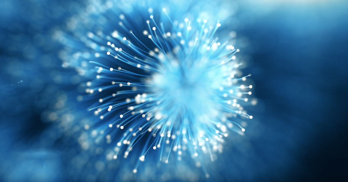 Com’è fatta la fibra ottica: gli elementi chiave